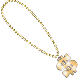 A necklace with a dollar sign pendant